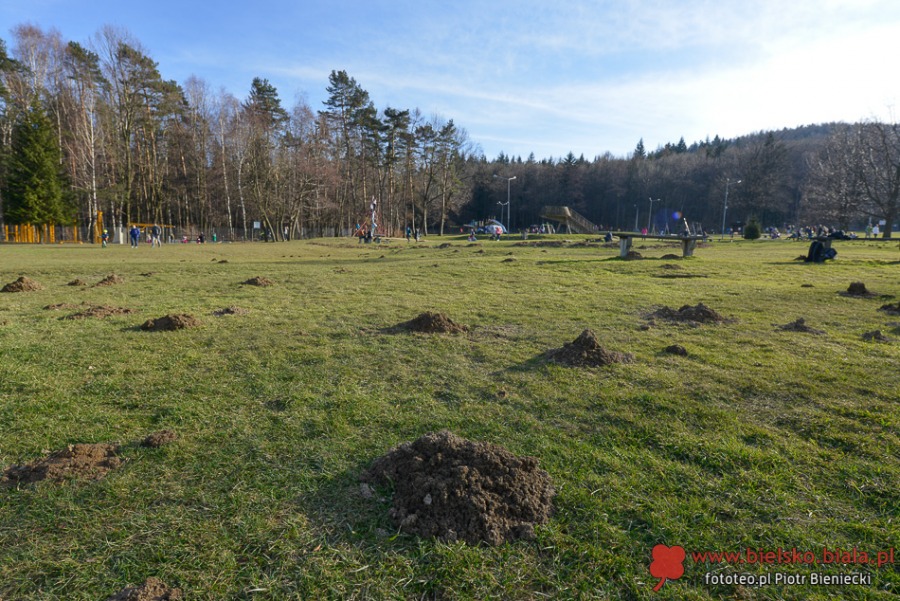 Wiosna na Błoniach. Zobacz, kogo spotkaliśmy - foto