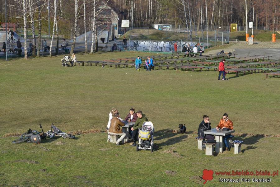 Wiosna na Błoniach. Zobacz, kogo spotkaliśmy - foto
