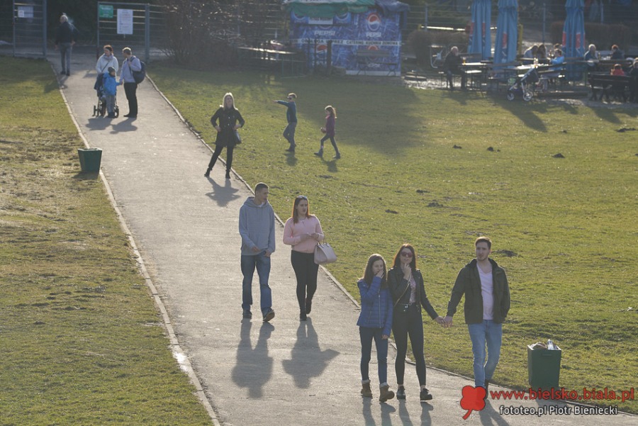 Wiosna na Błoniach. Zobacz, kogo spotkaliśmy - foto