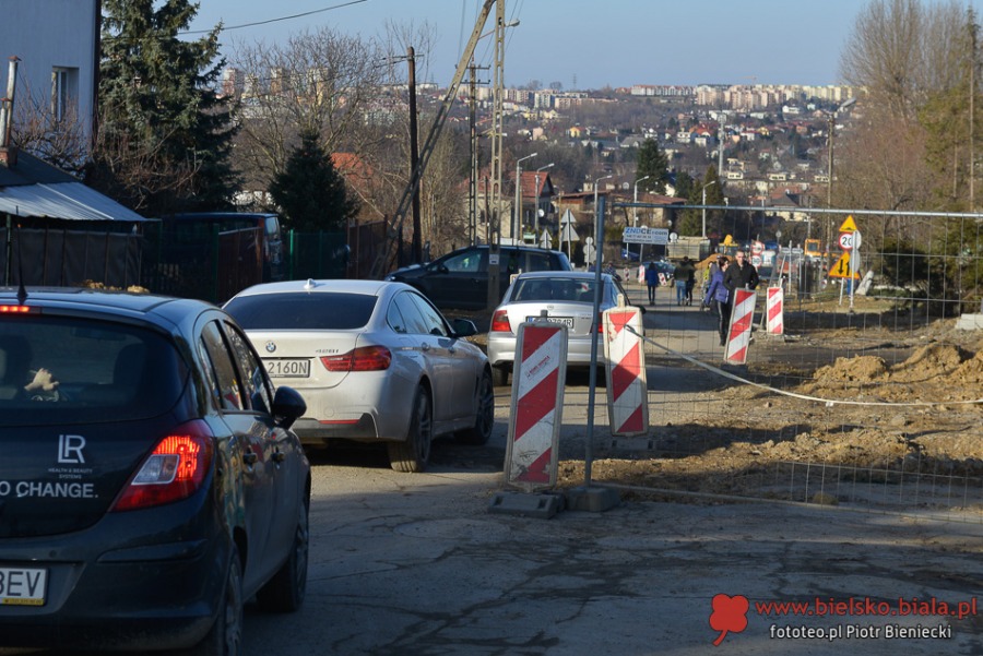 Wiosna na Błoniach. Zobacz, kogo spotkaliśmy - foto