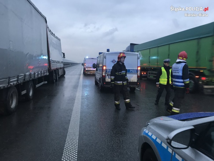 Tragedia na drodze. Policja szuka świadków - foto