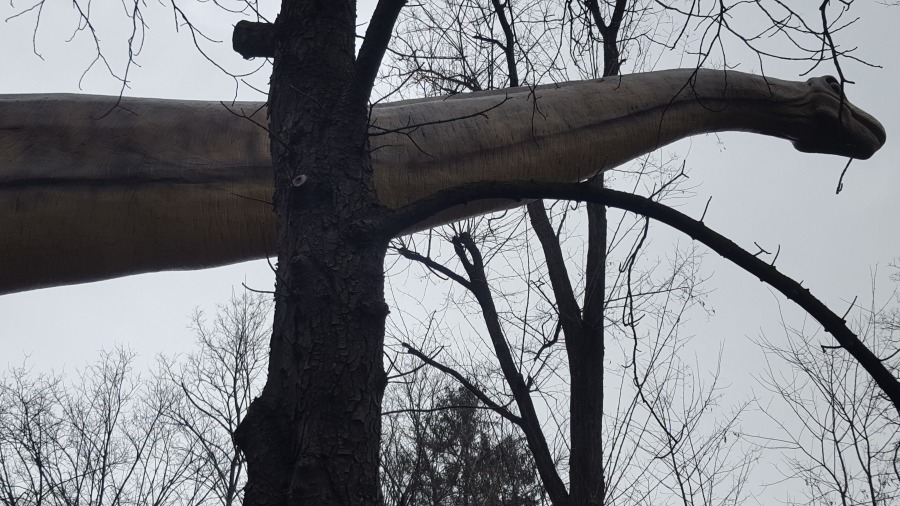 Największy dinozaur na świecie w pobliżu Bielska-Białej - foto