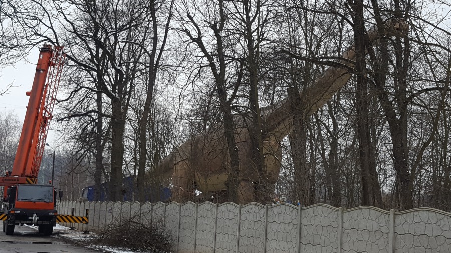 Największy dinozaur na świecie w pobliżu Bielska-Białej - foto