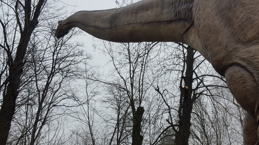 Największy dinozaur na świecie w pobliżu Bielska-Białej - foto