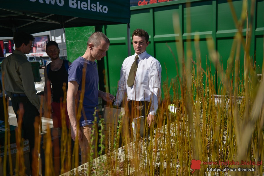 Imponująca akcja na Sarnim Stoku. Ludzie czekali na okazję