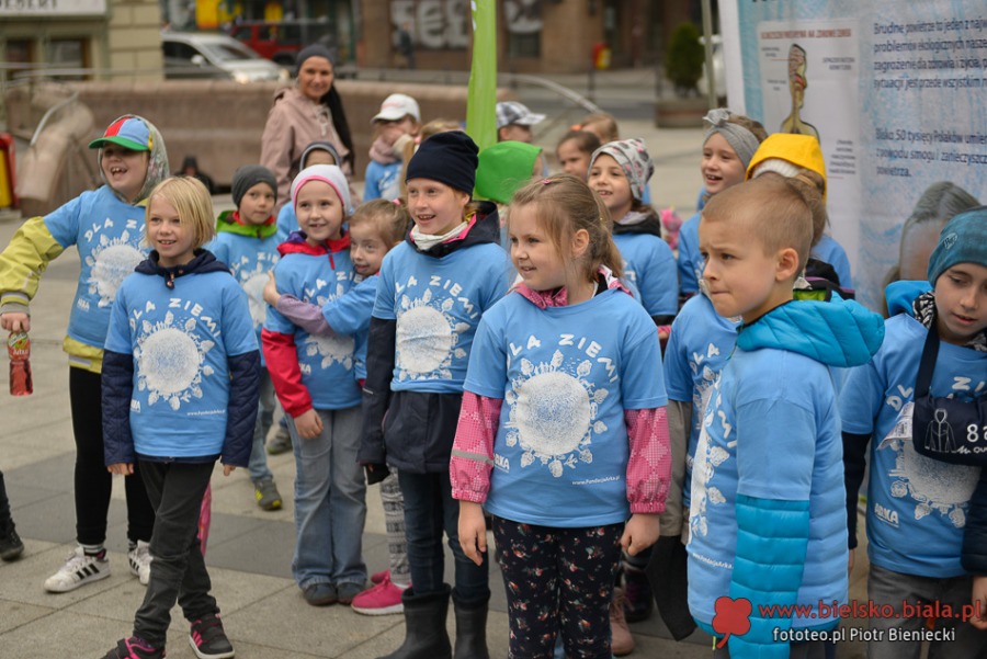 Kolorowo na placu Chrobrego. Ruszyła wielka akcja - foto
