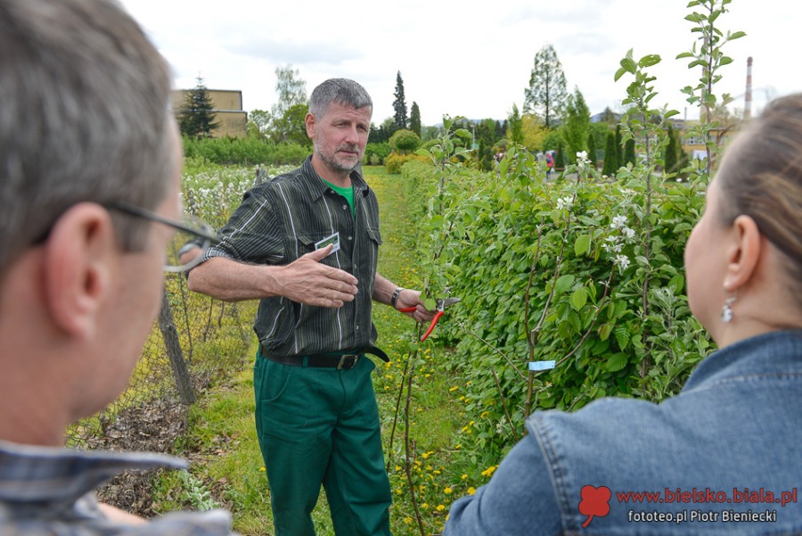 Niezwykły ogród w Bielsku-Białej. Zwiedzający są zachwyceni