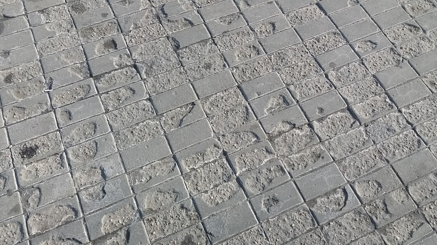 Obraz nędzy i rozpaczy na osiedlu Karpackim - foto
