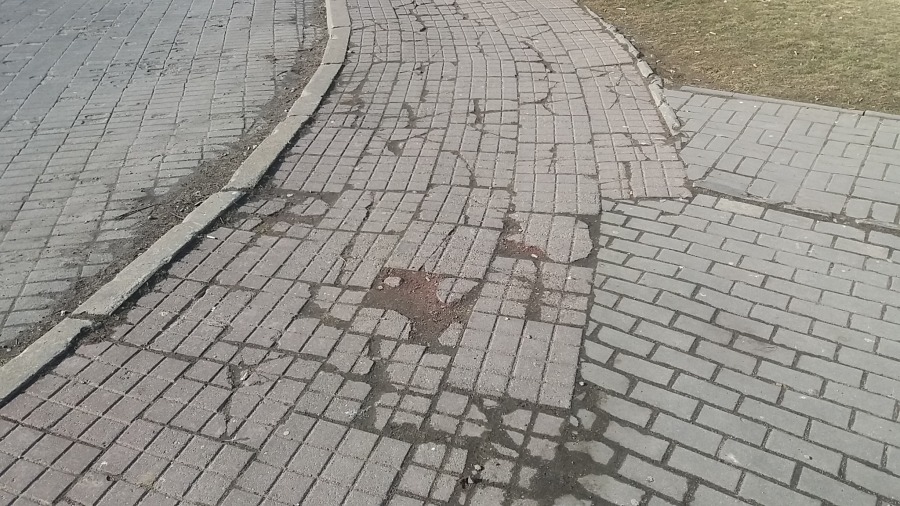 Obraz nędzy i rozpaczy na osiedlu Karpackim - foto