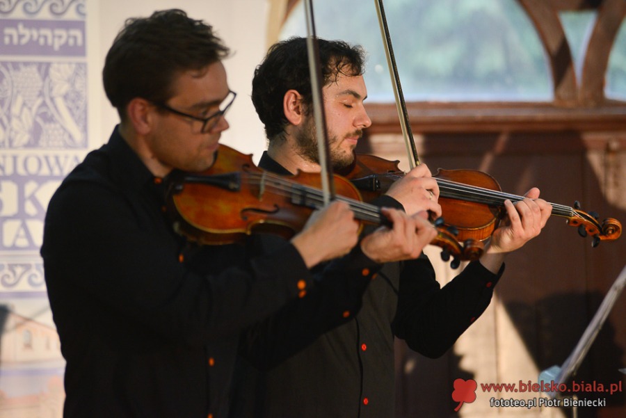 Zachwyt na cmentarzu. Fenomenalny koncert dla Selmy Kurz