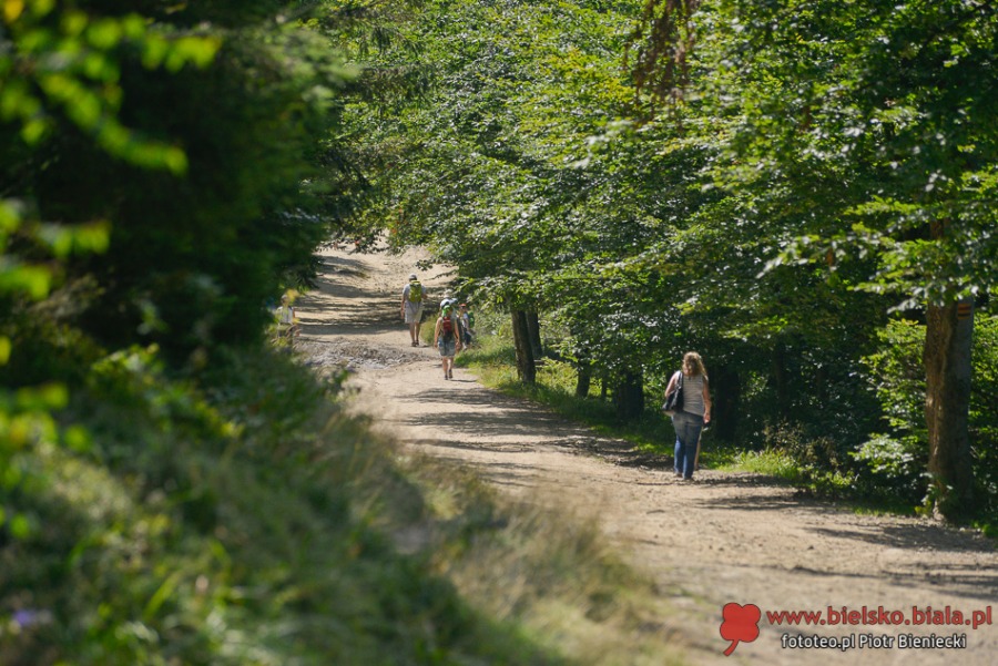 Czarodziejska góra Szyndzielnia. Wakacyjny raj - ZDJĘCIA