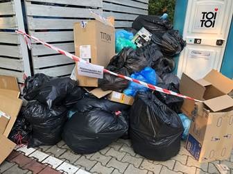 Szczury w Bielsku-Białej. Mają idealne warunki do życia