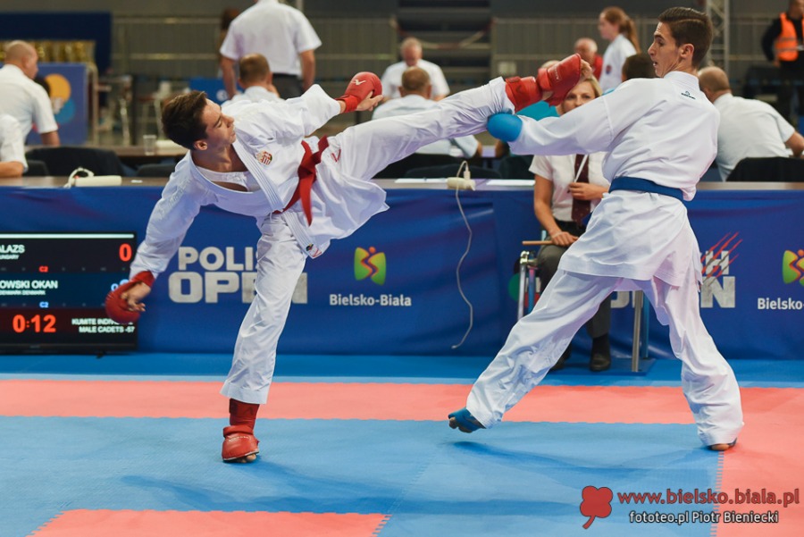 Bielsko-Biała rządzi w karate. Świat walczy dziś pod Dębowcem