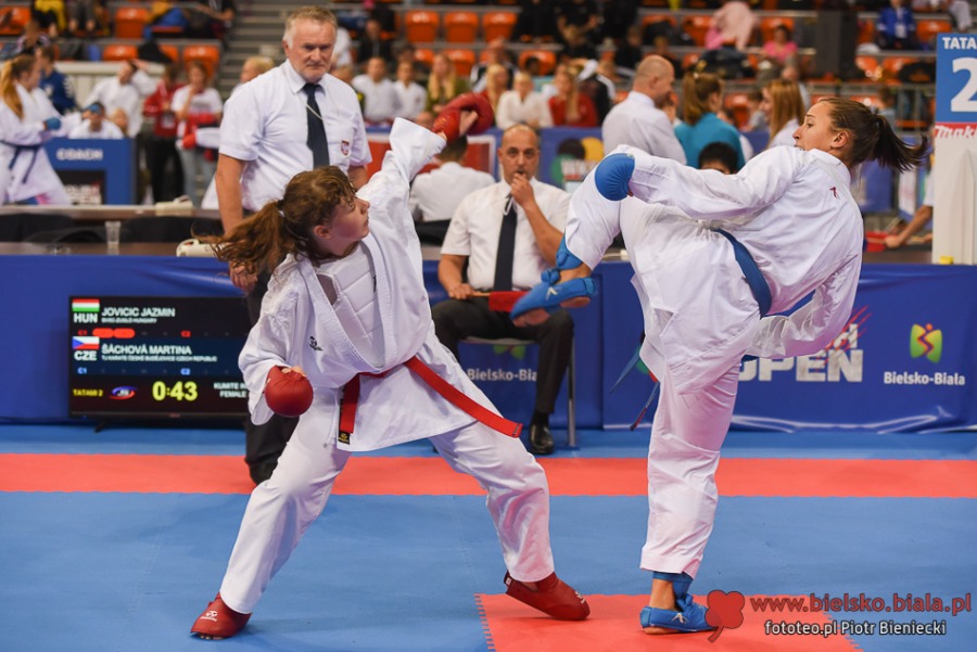 Bielsko-Biała rządzi w karate. Świat walczy dziś pod Dębowcem