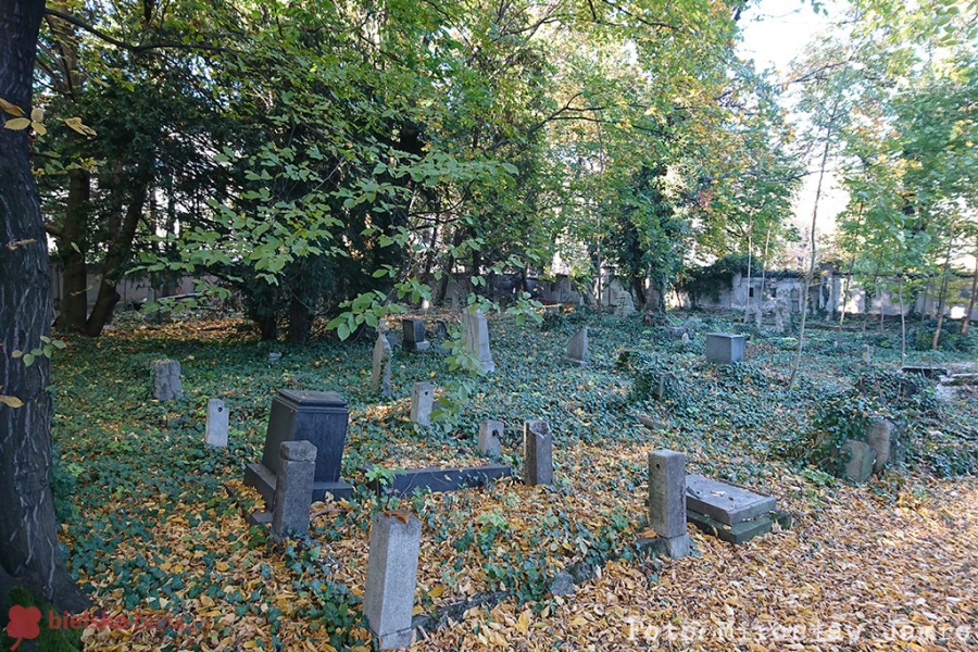 Zapomniane bielskie „Powązki”. Brama często jest zamknięta - foto