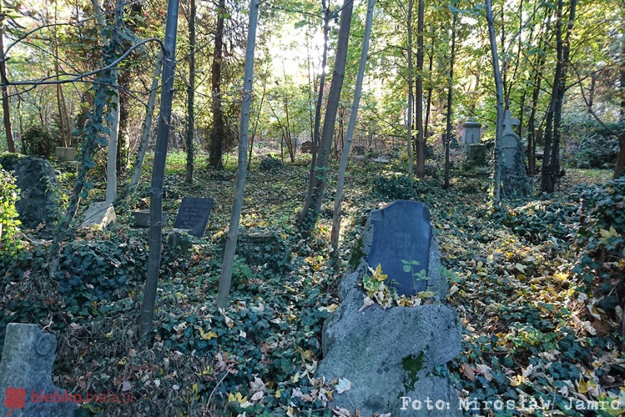 Zapomniane bielskie „Powązki”. Brama często jest zamknięta - foto