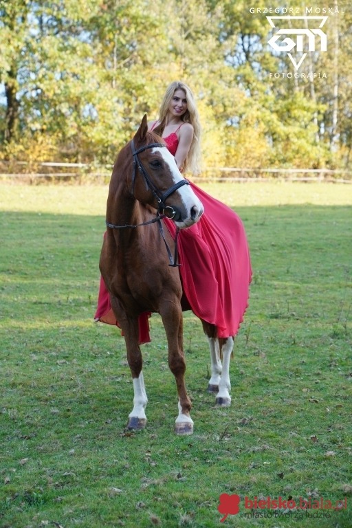 Zimą narty, a latem konie. Podpatrzona sesja ze śliczną Luizą - foto