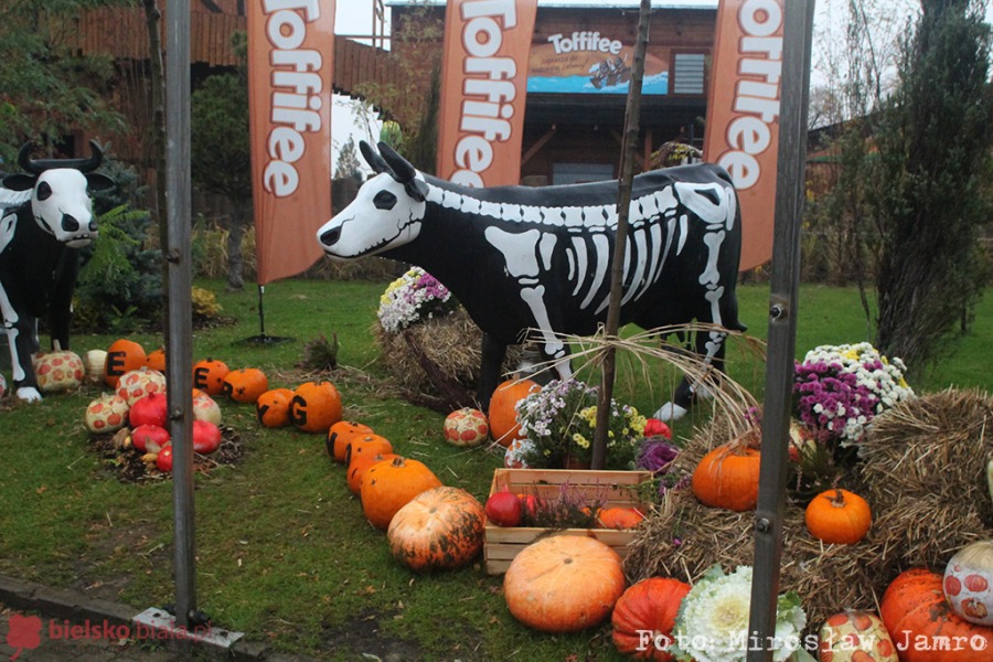 Wampiry na roller coasterze. Przerażająca noc w Energylandii