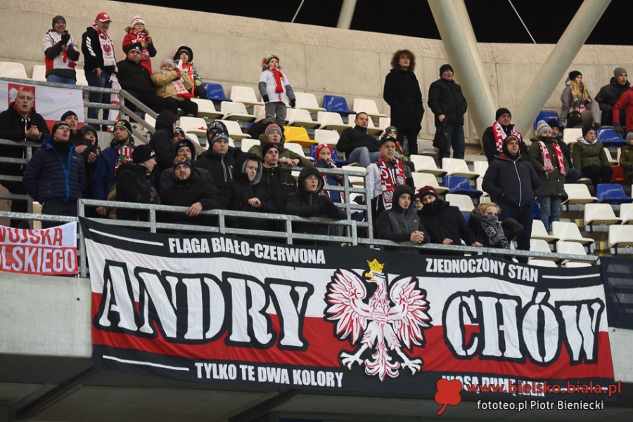 Ostatni sprawdzian przed mundialem. Ci kibice nigdy nie zawodzą ZDJĘCIA