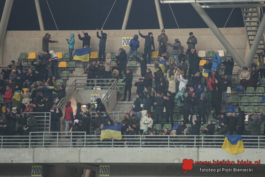 Ostatni sprawdzian przed mundialem. Ci kibice nigdy nie zawodzą ZDJĘCIA