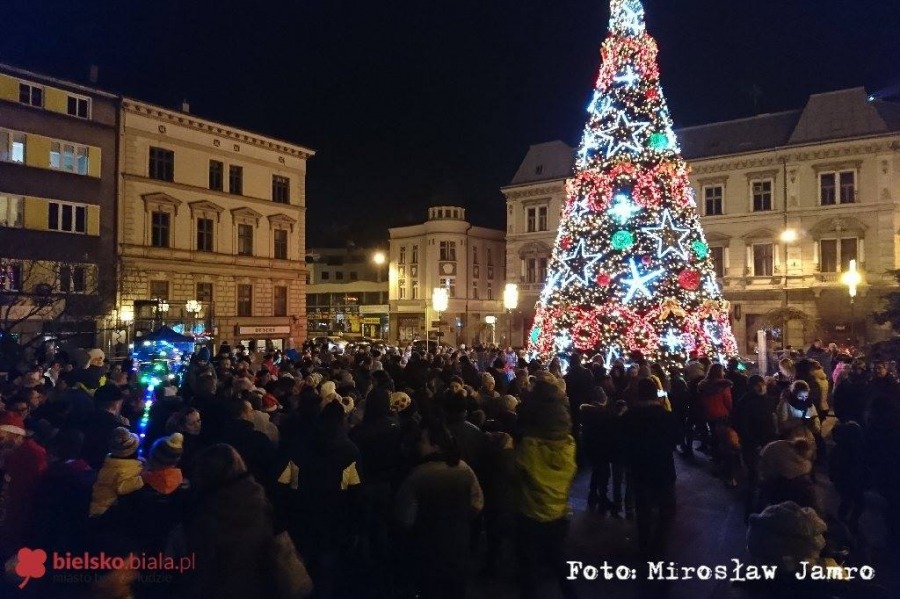 Rozbłysła największa choinka. Prezydent Klimaszewski odpalił iluminacje! - foto