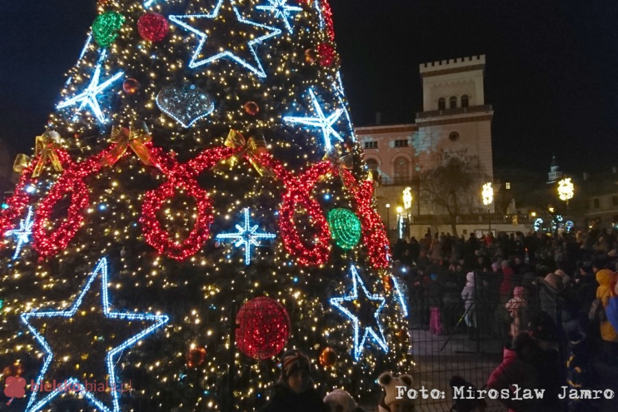 Rozbłysła największa choinka. Prezydent Klimaszewski odpalił iluminacje! - foto