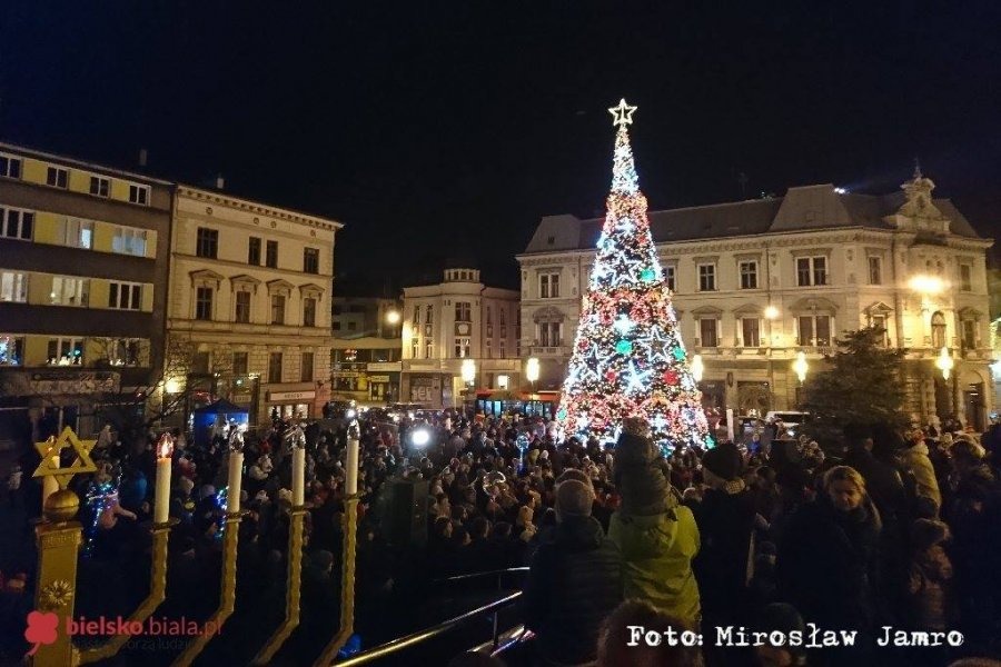 Rozbłysła największa choinka. Prezydent Klimaszewski odpalił iluminacje! - foto