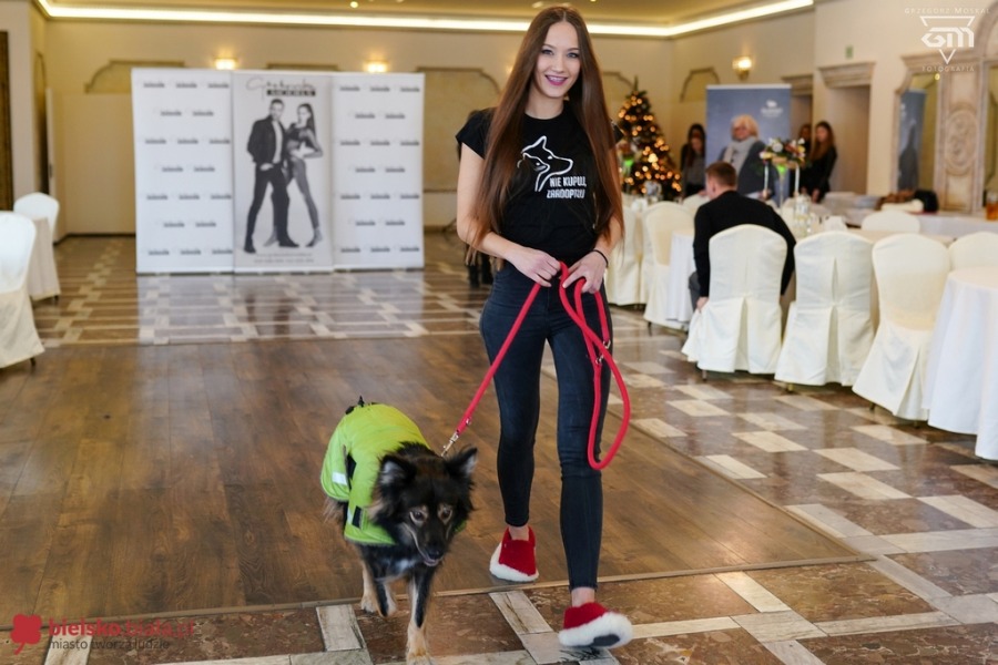 Takiej promocji jeszcze nie było. Modelki z pieskami w zimowych ubrankach! - foto