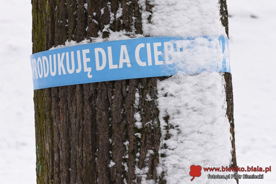 Zima nie rozpieszcza. Teraz czeka nas silny mróz ZDJĘCIA