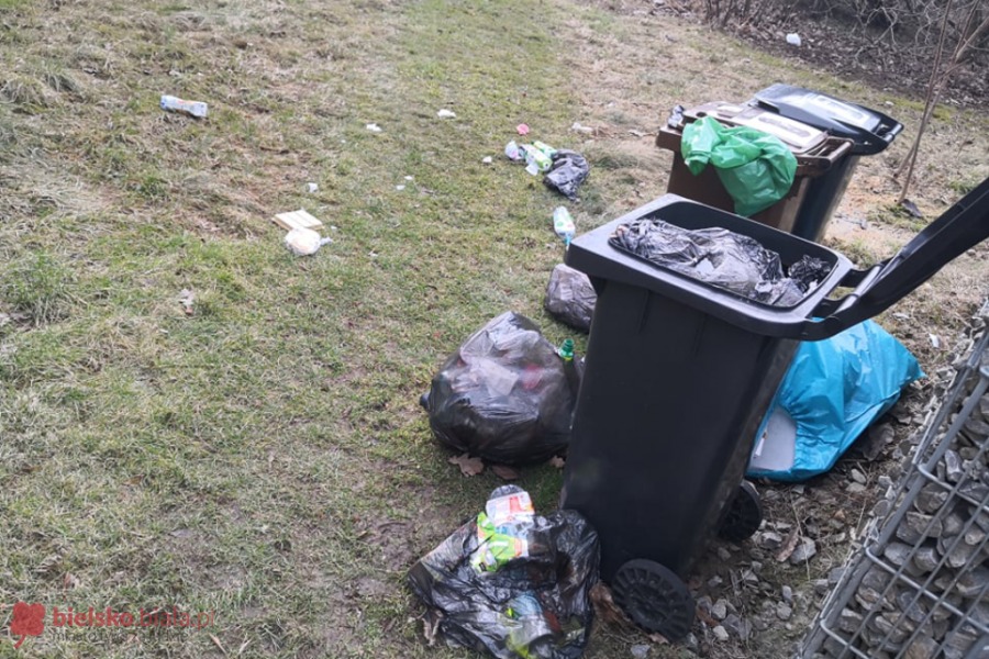 Wiatr wywiewał śmieci z „pustych” kubłów. Udana reklamacja w SUEZ - foto