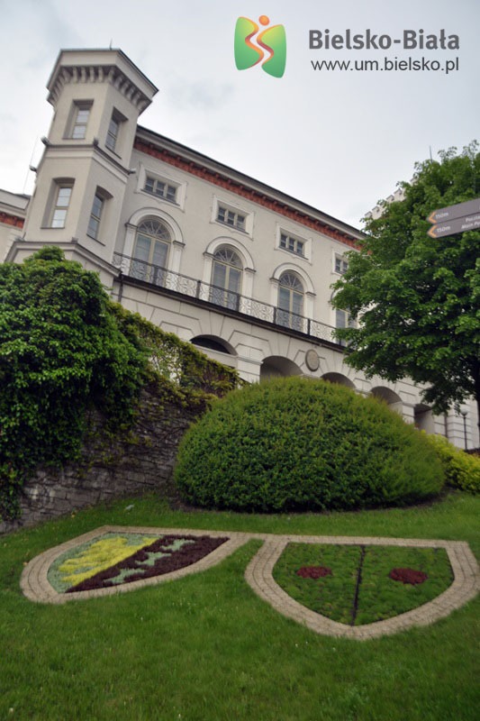 Bielsko-Biała pięknieje wiosną. Urzędnicy szykują kwietną niespodziankę! - foto