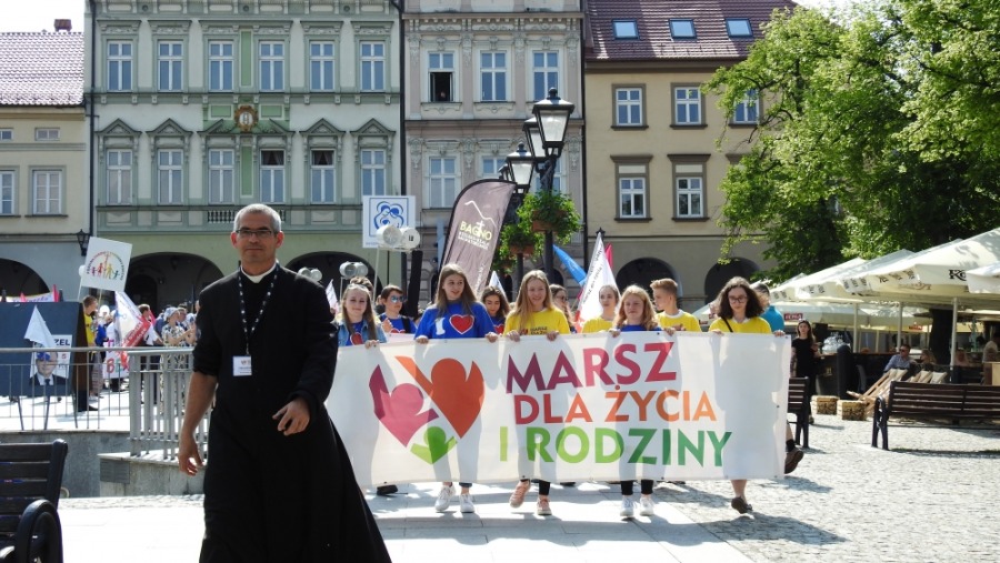 Radosny marsz ulicami Bielska-Białej. Manifestacja z udziałem kilkuset osób - foto