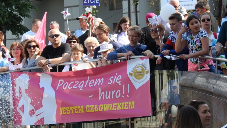 Radosny marsz ulicami Bielska-Białej. Manifestacja z udziałem kilkuset osób - foto