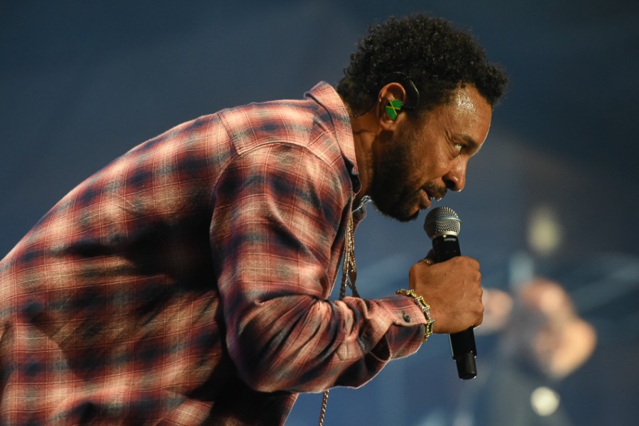 Świetny Shaggy na placu Ratuszowym. Efektowny pokaz laserów ZDJĘCIA