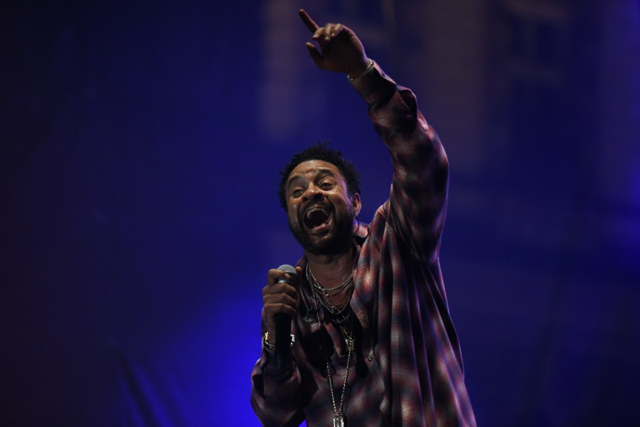 Świetny Shaggy na placu Ratuszowym. Efektowny pokaz laserów ZDJĘCIA