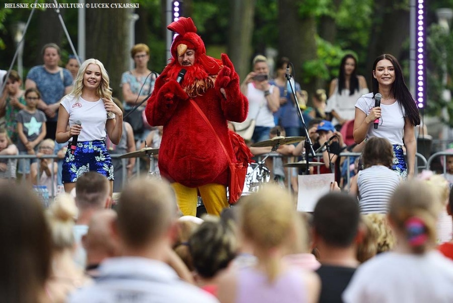 Ulubieni artyści bielszczan pod Dębowcem. Ogromna owacja - foto