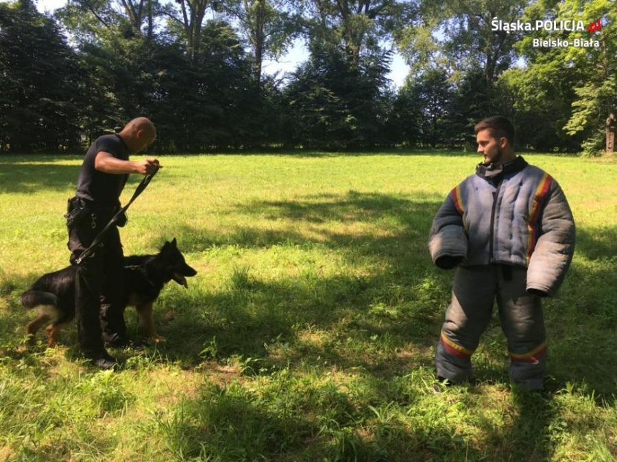 Niemiecki policjant w bielskiej drogówce. U nas uczy się fachu - foto