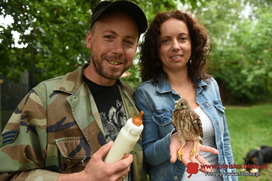 Pogotowie ratunkowe dla dzikich zwierząt. Kolejka pacjentów ustawia się od rana