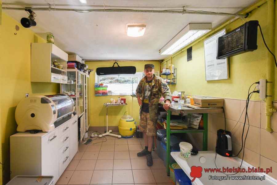 Pogotowie ratunkowe dla dzikich zwierząt. Kolejka pacjentów ustawia się od rana