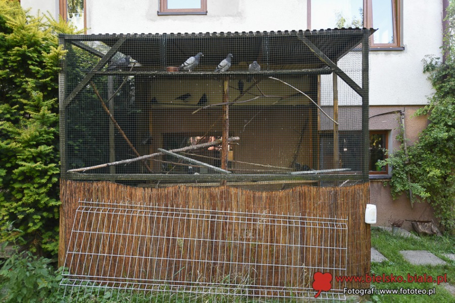 Pogotowie ratunkowe dla dzikich zwierząt. Kolejka pacjentów ustawia się od rana