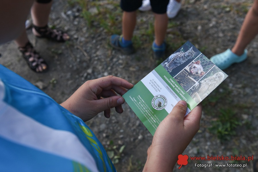 Pogotowie ratunkowe dla dzikich zwierząt. Kolejka pacjentów ustawia się od rana