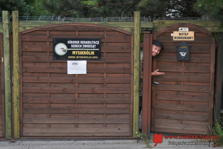 Pogotowie ratunkowe dla dzikich zwierząt. Kolejka pacjentów ustawia się od rana
