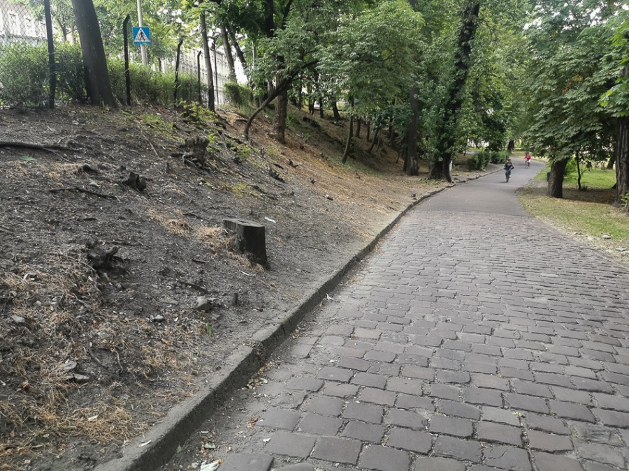 Bielsko-Biała wita! Zmiany na dworcu głównym ZDJĘCIA