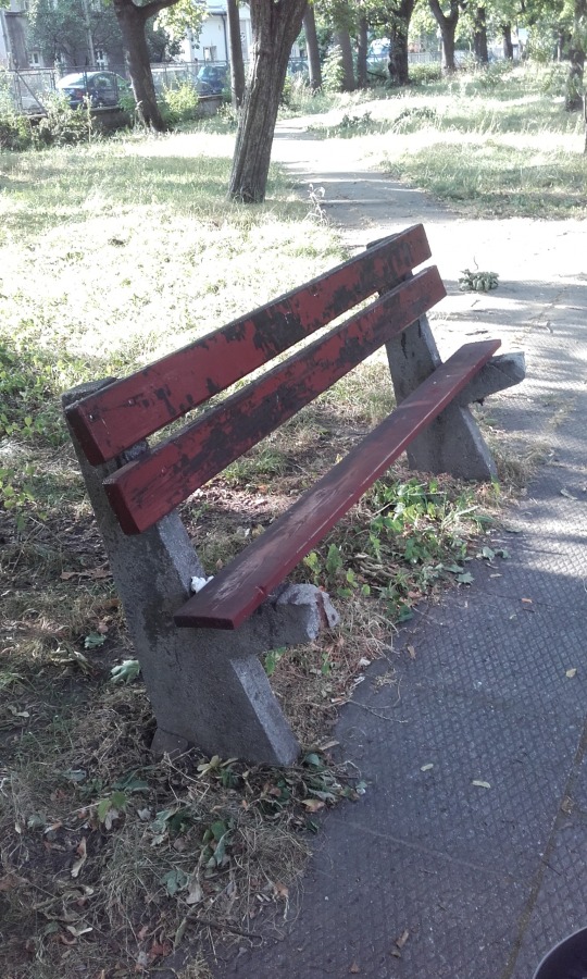Opłakany stan miejskich skwerów. Opaska ratunkowa na wszystko ZDJĘCIA
