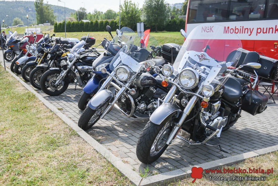 Cuda na czterech kołach. Wielki świat motoryzacji pod Dębowcem ZDJĘCIA