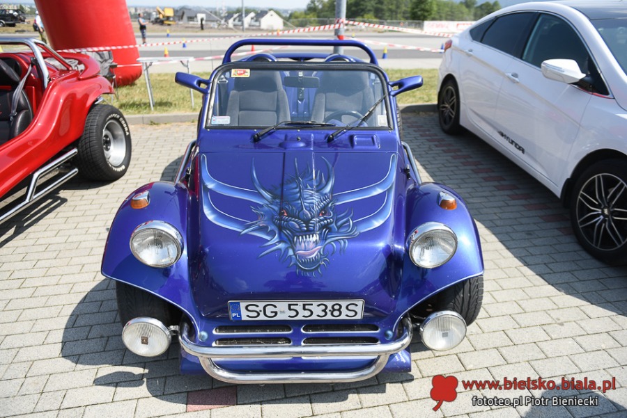 Cuda na czterech kołach. Wielki świat motoryzacji pod Dębowcem ZDJĘCIA