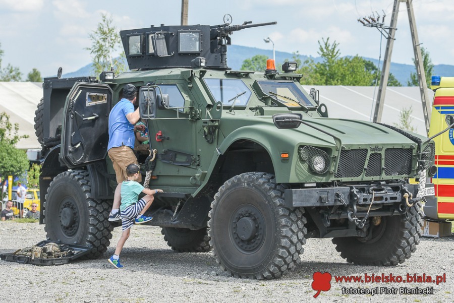 Cuda na czterech kołach. Wielki świat motoryzacji pod Dębowcem ZDJĘCIA