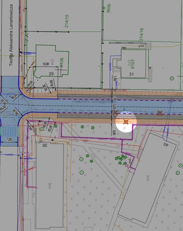20-metrowy dąb do wycinki? W tym miejscu będą układać chodnik