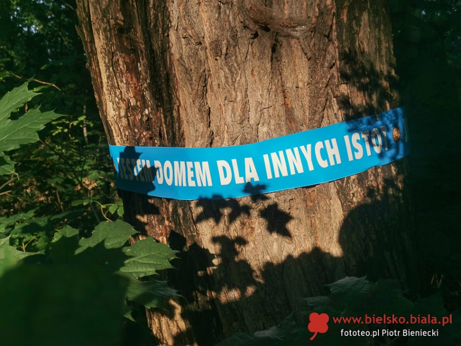 Kontrowersyjna rewitalizacja parku. Ścieżki rowerowe kosztem drzew?