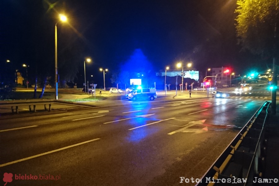 Dzikie zwierzęta odwiedzają miasto, ale przepisy nie nadążają